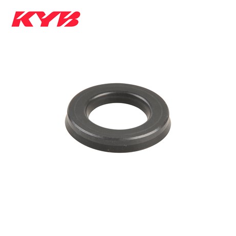 Oil Seal