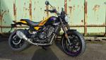 Royal Enfield Bear 450 Guerrilla Yellow Ribbon
